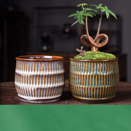 Bonsai Pot Jar
